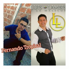 Le hace Falta un Beso Cover Fernando El Cantante.mp3