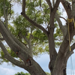 whatever im overthinking anyways