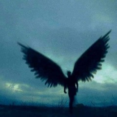 NIGHT FREEDOM (OUT ON ALL PLATFORMS)