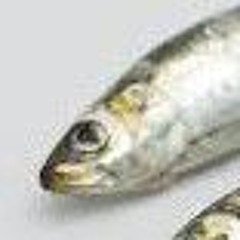 Hanging Judge - Armored Saint