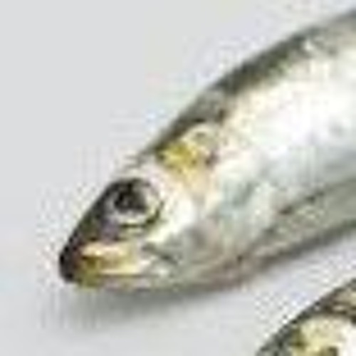 Hanging Judge - Armored Saint