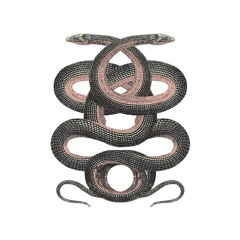 scott. fuck it+#* w/ Kaash Icarus