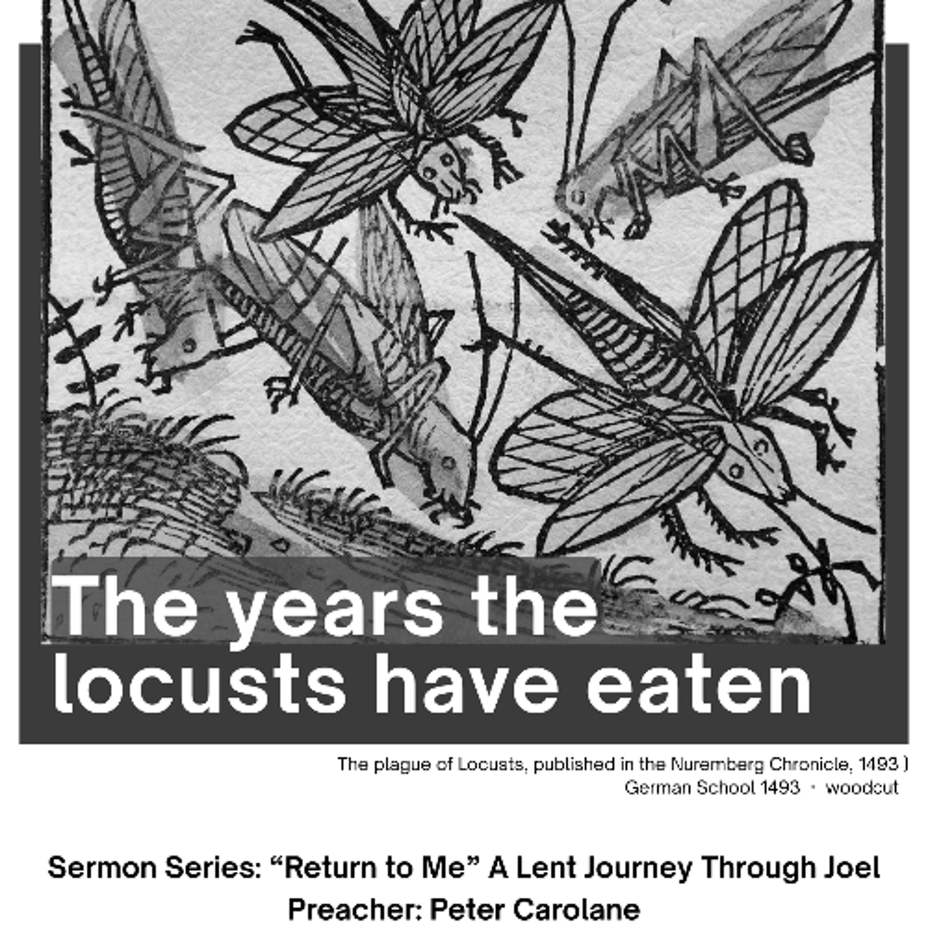[Peter C] The Years the Locusts have Eaten 01.03.26 (Joel 2:18-27) episode artwork