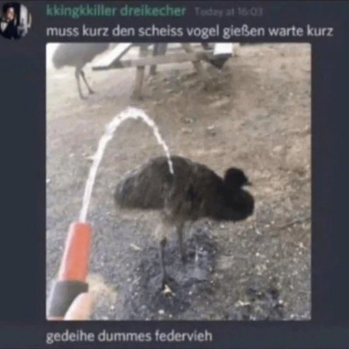 Eight Hundred and Eight Blasted Birds