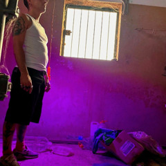 LIGHT & FIRE - Rtr3S