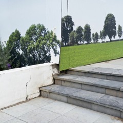 Tel Aviv Flora & Fauna (excerpt 2)