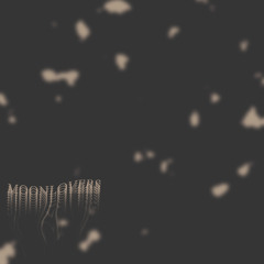 Moon Lovers (Prod. LAMORNA)