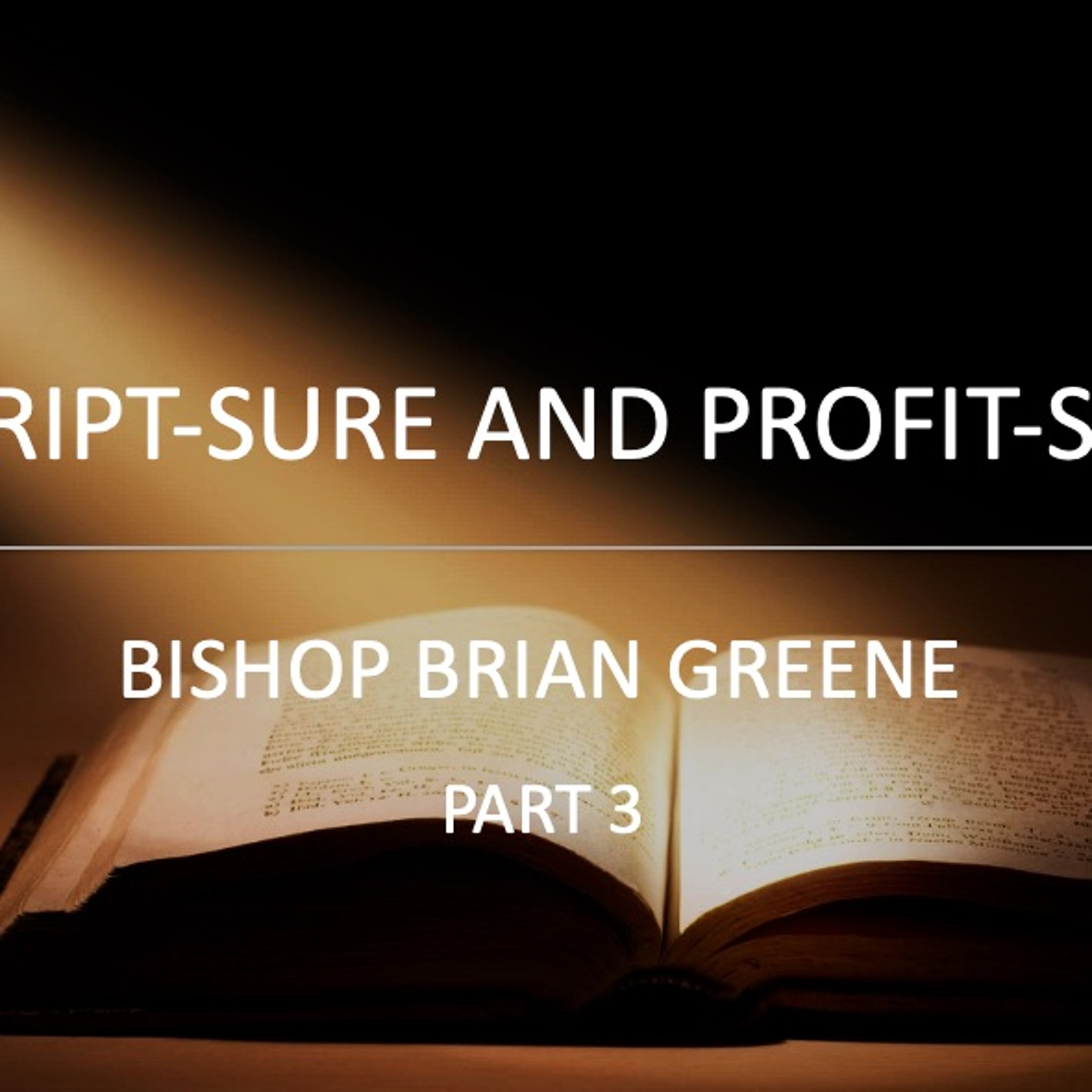 Scripture And Profitsee - Part 3 episode artwork