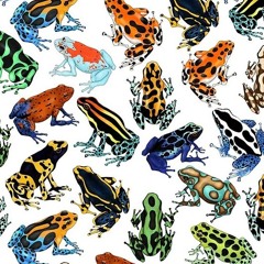PACKBACK - FROGS ( Free dl)