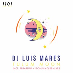 DJ Luis Mares - Moon (Original Mix)