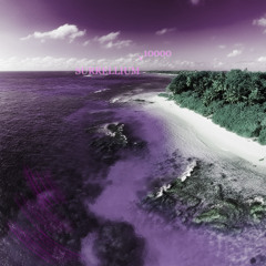 Reef Coral Shores