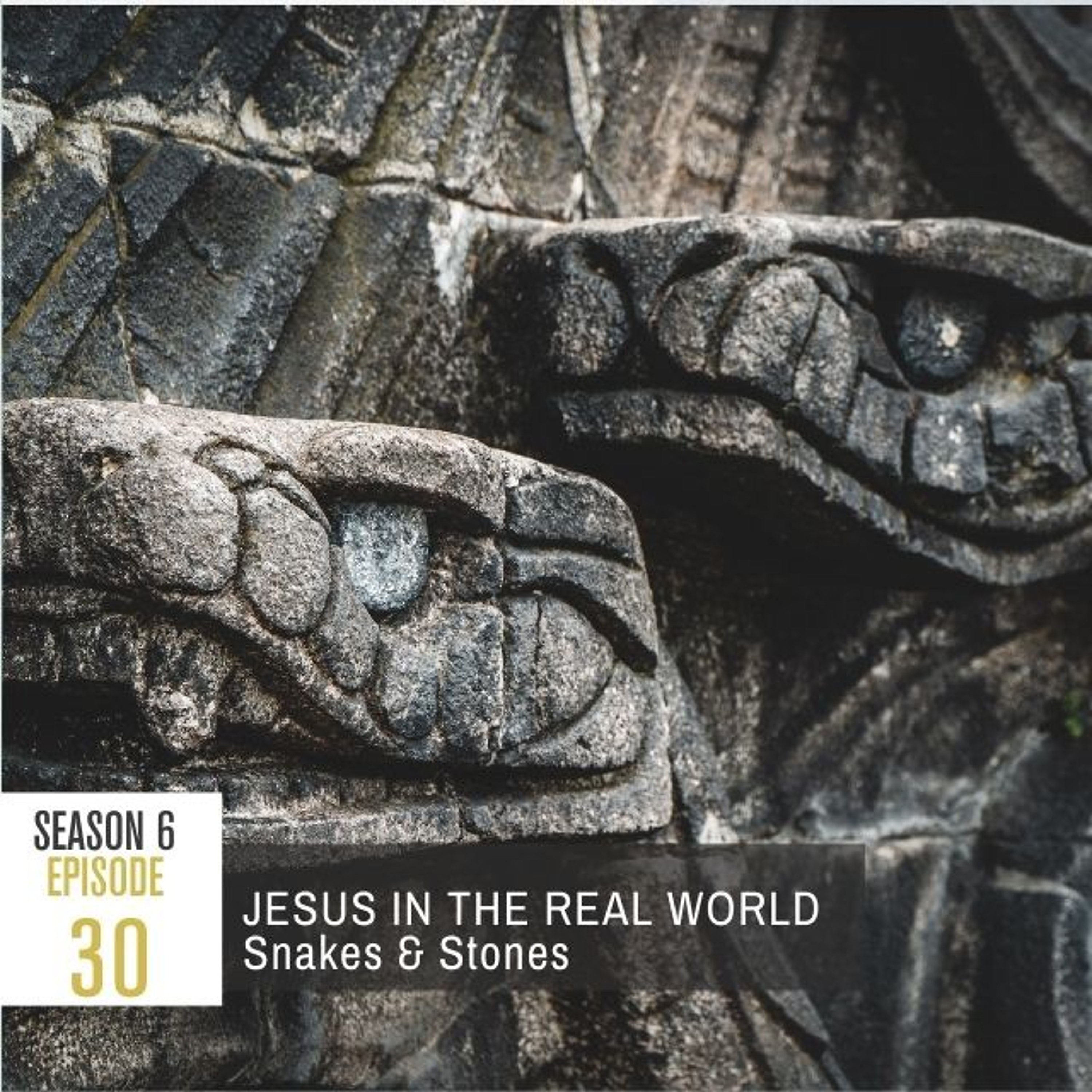 Paying Ridiculous Attention to Jesus