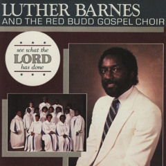 See What the Lord Has Done (feat. The Red Budd Gospel Choir)