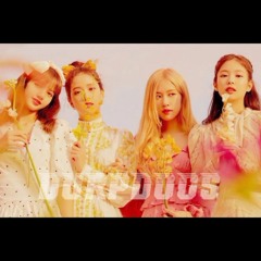 Crazy Over You (Reverb) | BLACKPINK Performance Concept