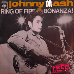 Johnny Cash - Ring Of Fire (Mason Remix)
