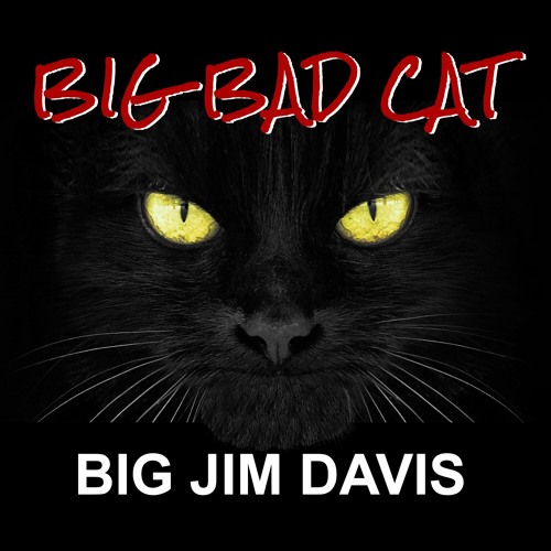 Big Bad Cat
