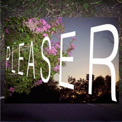 Pleaser (Prod. guapo)