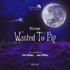 Premiere: Sturge - Wanted to Fly [Musique De Lune]