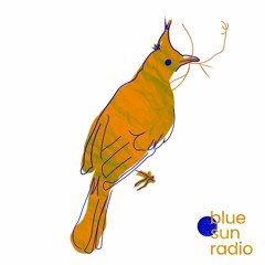 Blue Sun Radio Play vol. 11 by Y Bülbül