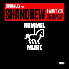 Shandrew - I want You (Eric Costa & Bias 2K25 Remix)