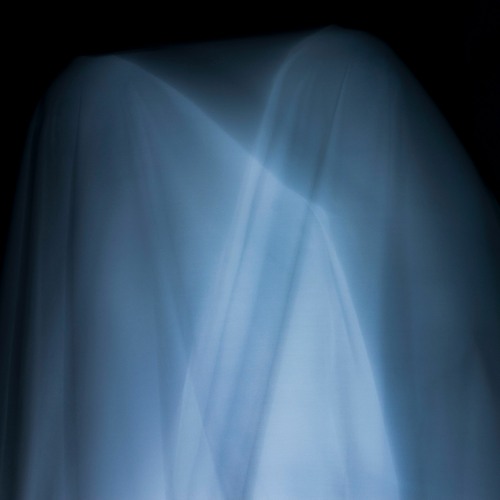 PREMIERE : Home Of Ghosts - Swans Sing Before They Die