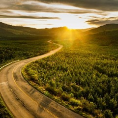 The Long And Winding Road