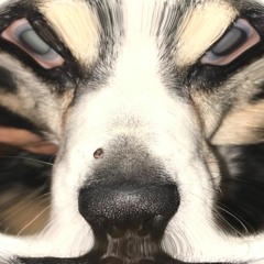 Ritual feat. HazyEyes (prod. bdc)