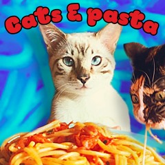 "Shallow Brains Concours Remix" Cats & Pasta