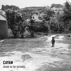CAYAM - Universal Wisdom