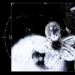 noirphony_chapter479