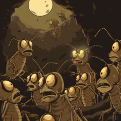 Termite Nightmares