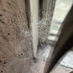 TCTRN EP02 on Etikett Radio