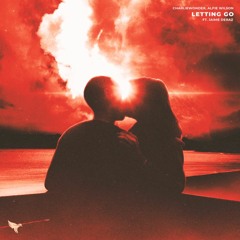 Letting Go (feat. Jaime Deraz)