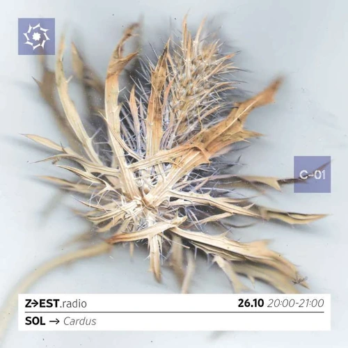SOL avec Cardus - 26/ Soundcloud podcast image for