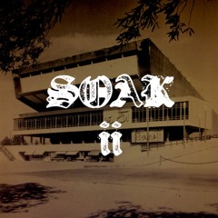 SOAK II (texturally stimulated live birth mix)