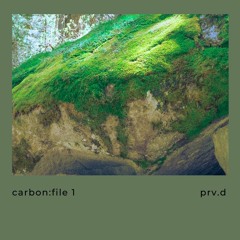 carbon:file 1 - prv.d