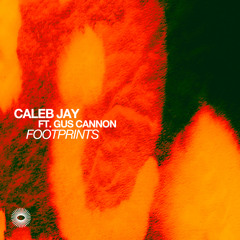 Footprints (feat. Gus Cannon)