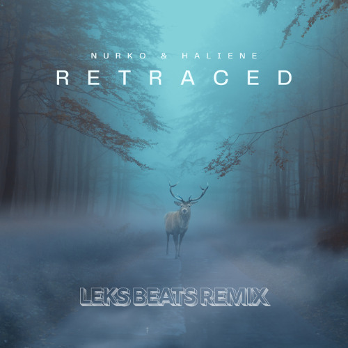 NURKO & HALIENE - RETRACED (LEKS BEATS REMIX)