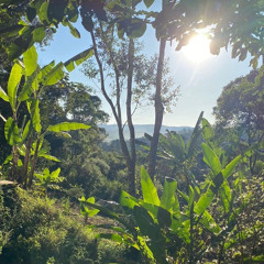 20 - Rei da Justiça