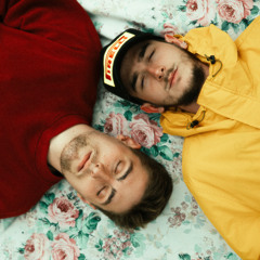 Amics, Tiets i Coneguts (feat. Els Amics De Les Arts)