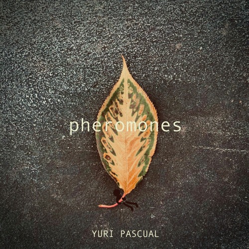 Yuri Pascual - Pheromones