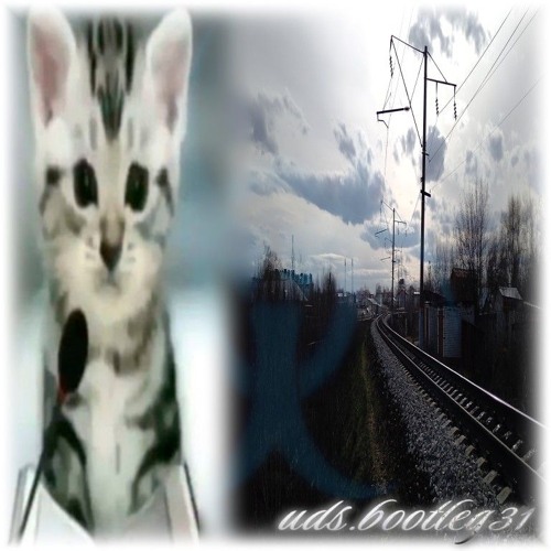 uds.bootleg31
