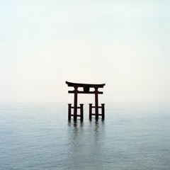 Torii Gate