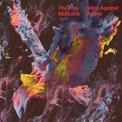 The Prey (Mind Against Remix)