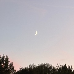 moon (prod. fiftyzeros)