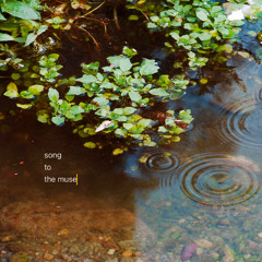 song to the muse