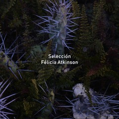 Giskard - De Bander A Nix #54 Félicia Atkinson