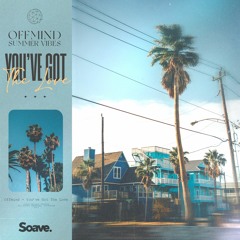 Offmind & Summer Vibes - You'Ve Got The Love