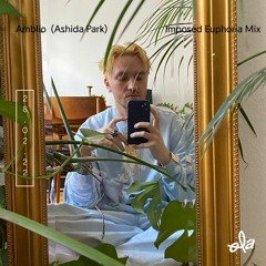 Amblio (Ashida Park) • Imposed Euphoria Mix