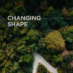 Changing Shape | SB25